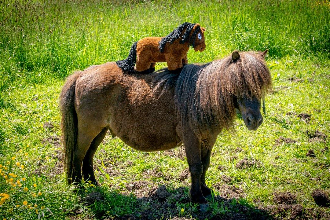 2-1 Crafty Pony paarden knuffel bruin met zwarte manen