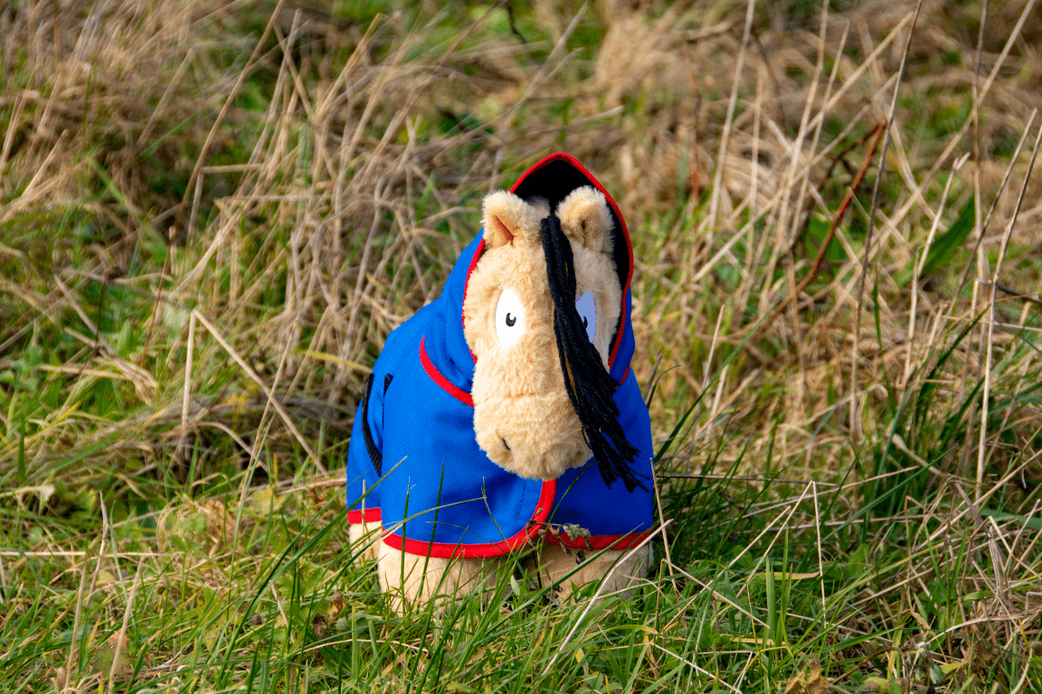 2_Middel Crafty Ponies Buitendeken Blauw/Rood