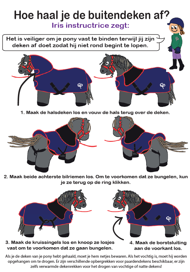BD2 Crafty Ponies boekje inhoud buitendeken