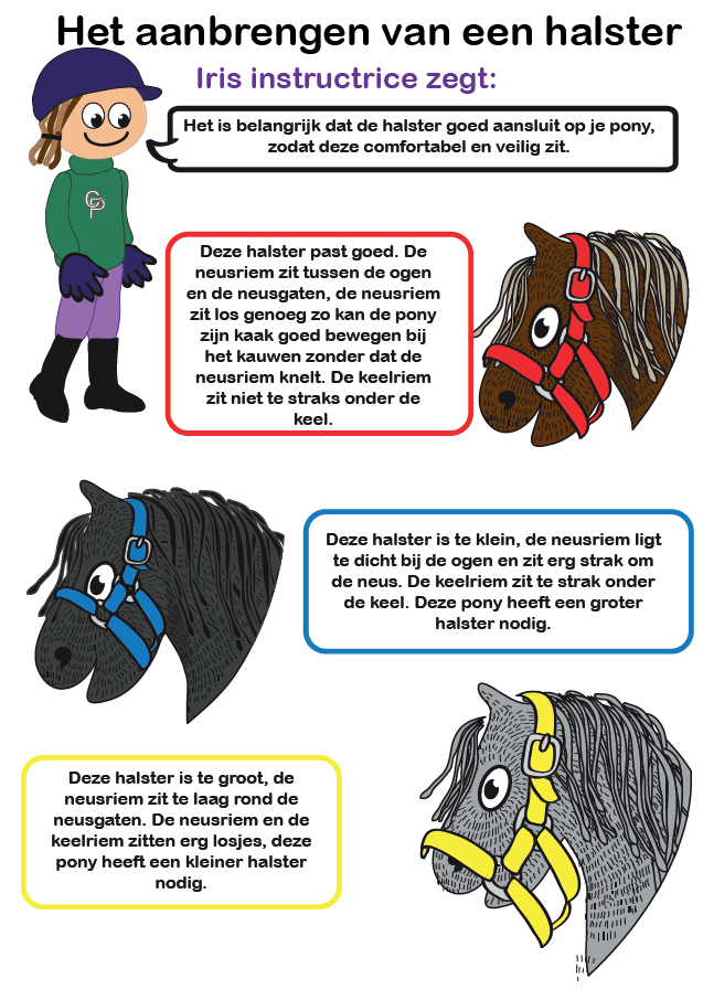H2_23a20b0b-2fc8-4fea-bd04-31e47959b1bb Crafty Ponies halster boekje inhoud