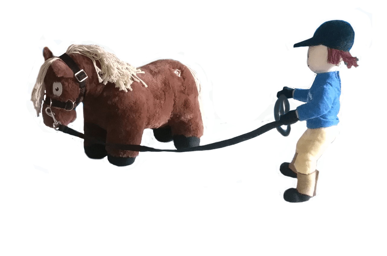 Longeerset Crafty Ponies longeer set pim