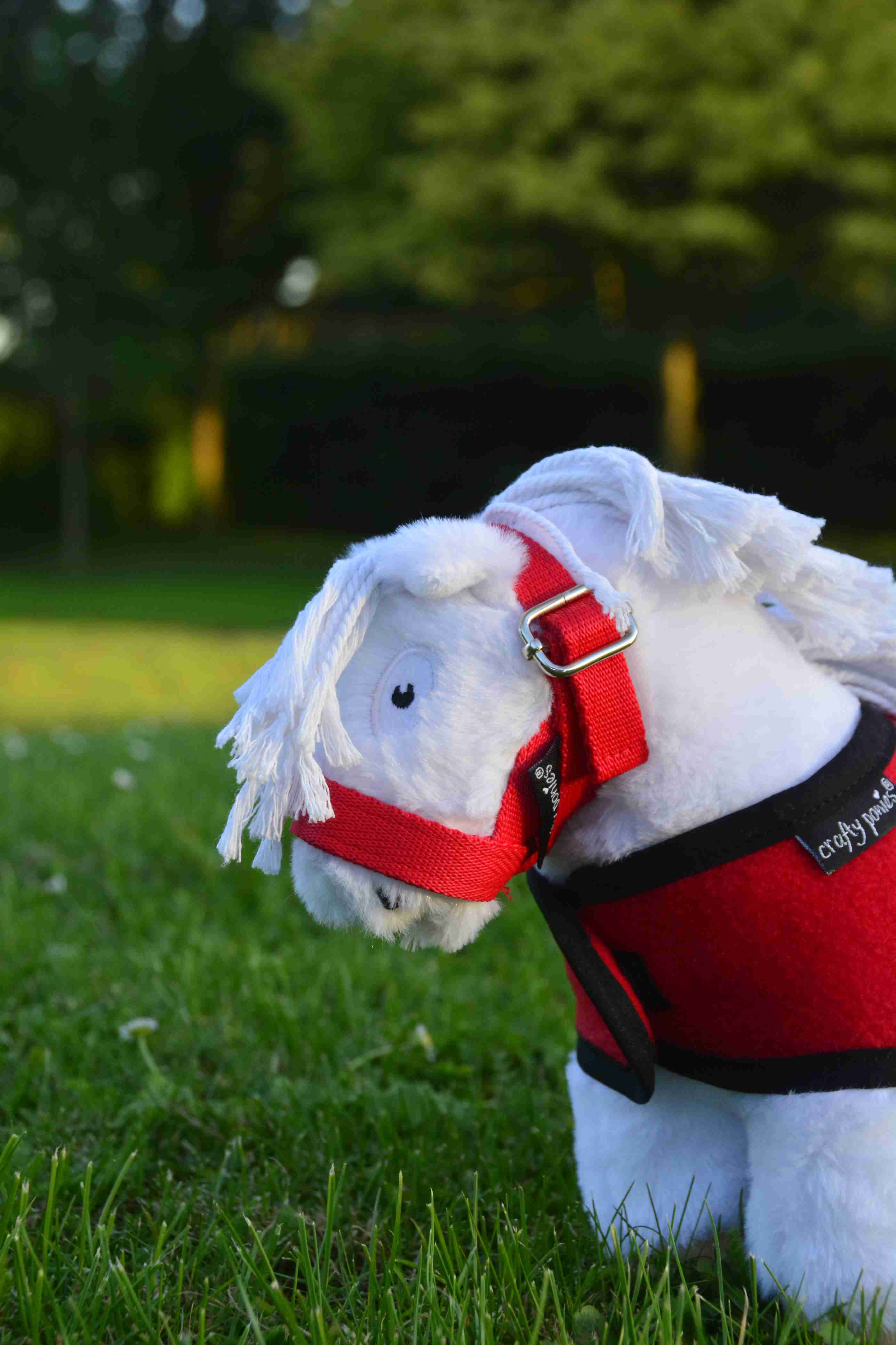 SFS4968 Crafty Ponies veulen halster rood