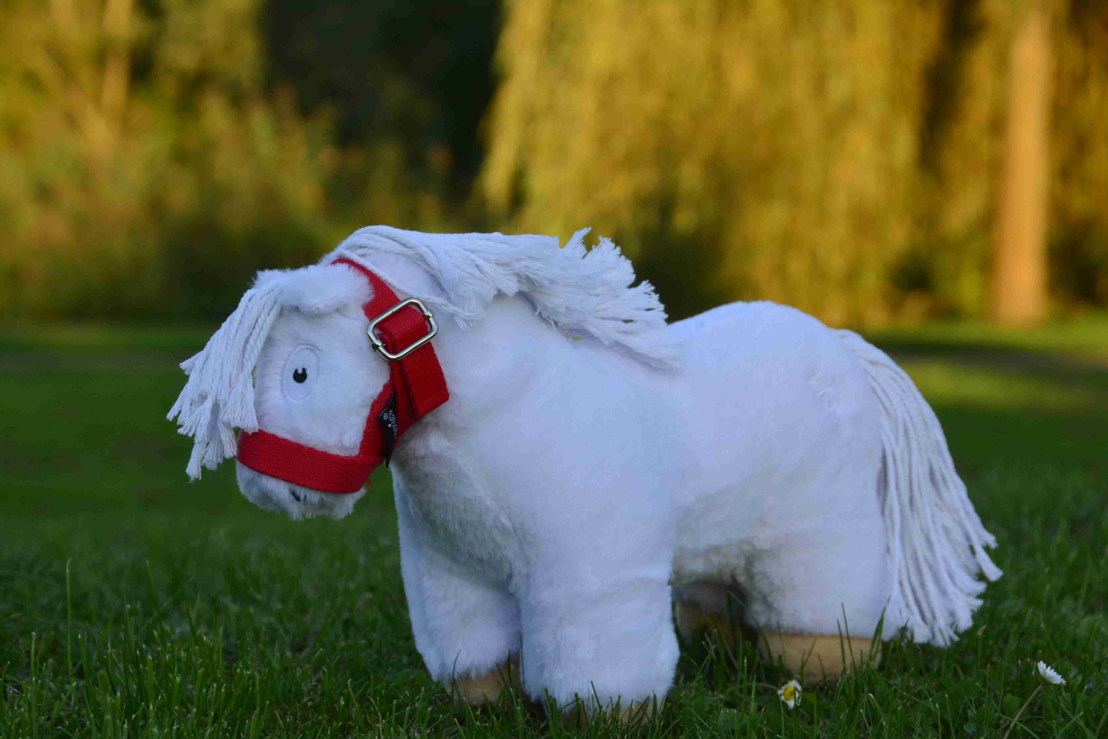 SFS4987 Crafty Ponies veulen halster rood