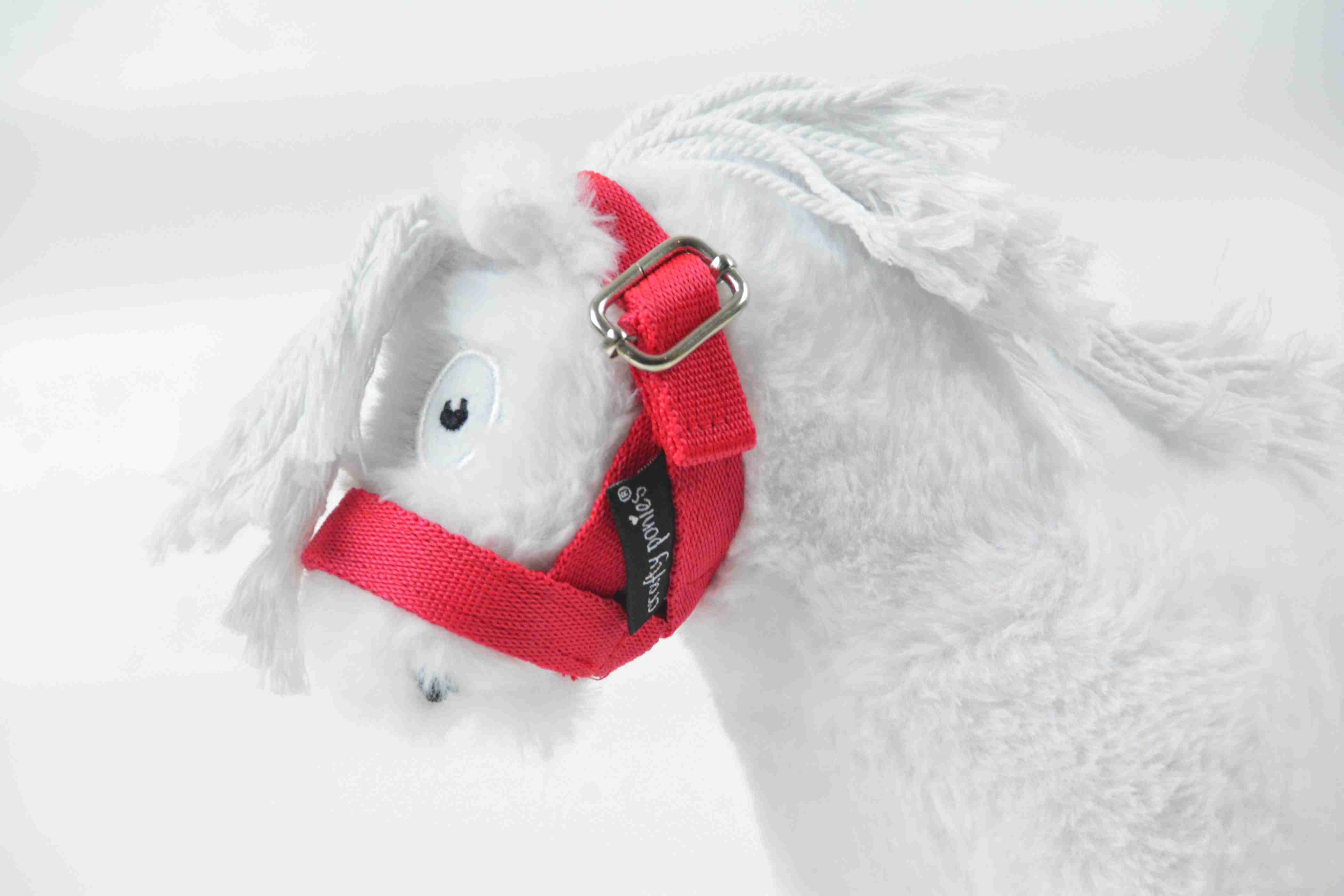 SFS5124_2734e6c2-5601-407a-b248-20349baec90a Crafty Ponies veulen halster rood