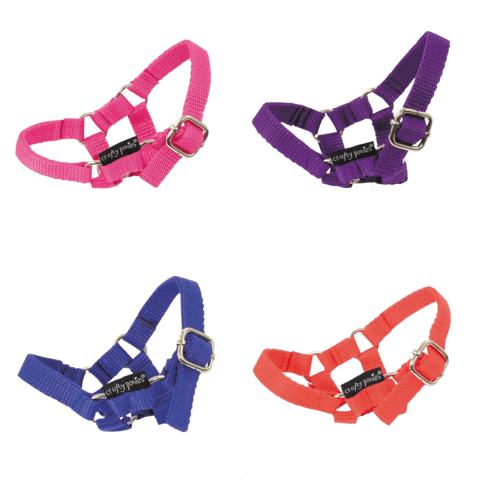 alle_halsters_in_een_foto_goedd_large_368ab21b-c2cf-452e-863a-795f2e19e211 Halster knuffel