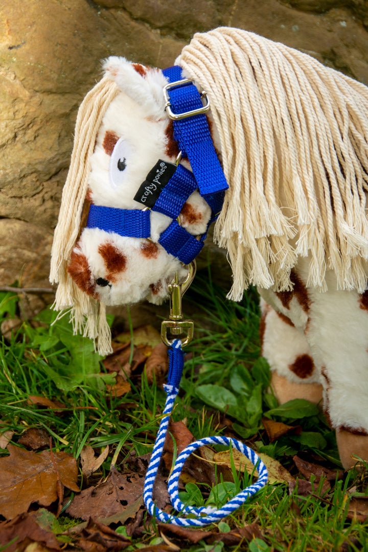 blauw-2_bdd59edf-a411-48b4-ab22-292499a37661 Crafty Ponies halstertouw blauw