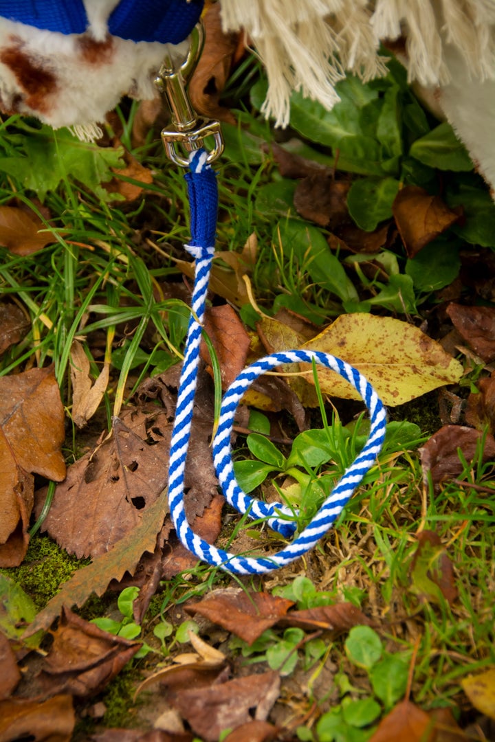 blauw-3 Crafty Ponies halstertouw blauw
