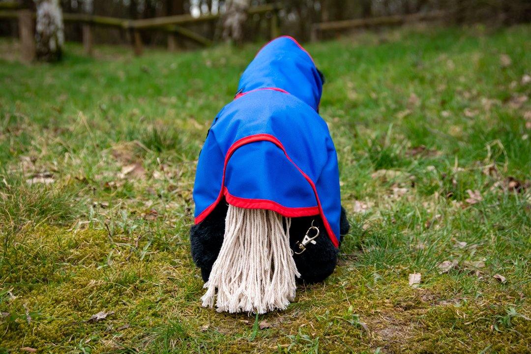 buitendek3 Crafty Ponies Buitendeken Blauw/Rood