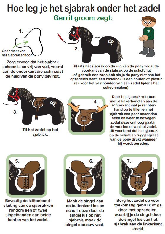 dekje3 crafty ponies sjabrak boekje inhoud