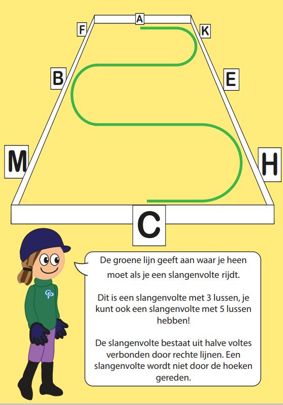 dressuur5 Crafty Ponies dressuur arena boekje inhoud
