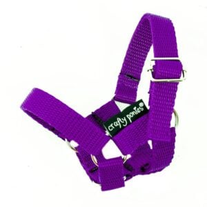 Crafty ponies halster paars