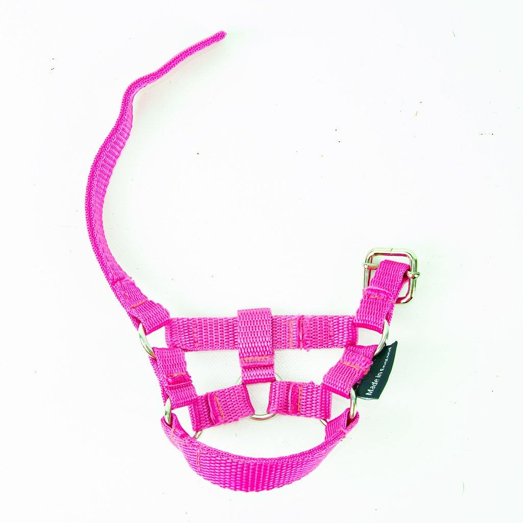 halster-roze-2 Crafty Ponies halster paardenknuffel roze