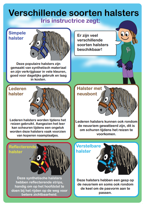 halster_1acbf2d1-3ff0-41a0-9588-1486d20f85f0-1
