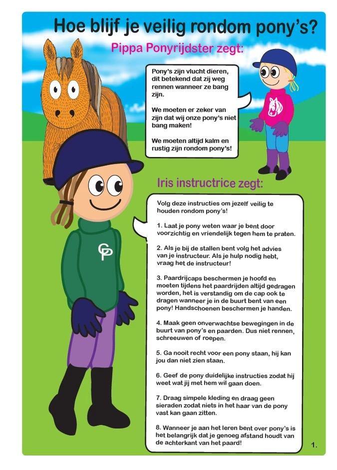 instructieboekje_3-1 Crafty Ponies instructieboek inhoud
