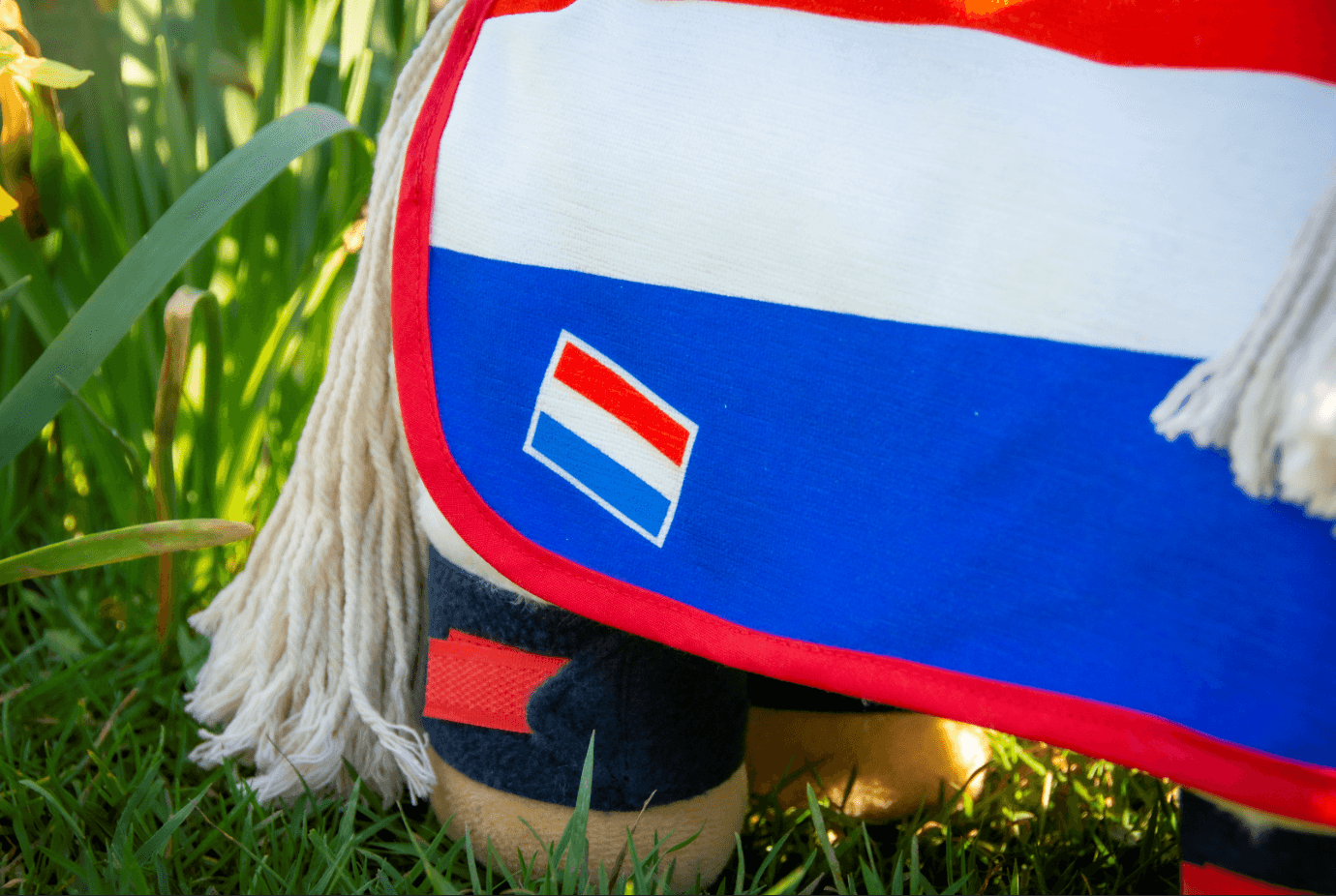 nl1 Crafty Ponies nationale wedstrijd set Nederland