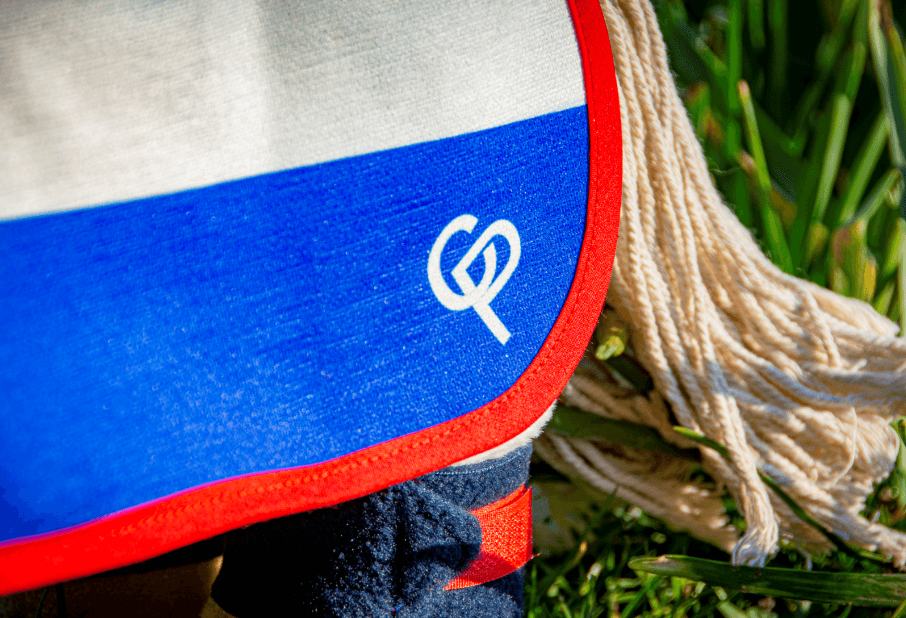 nl2 Crafty Ponies nationale wedstrijd set Nederland