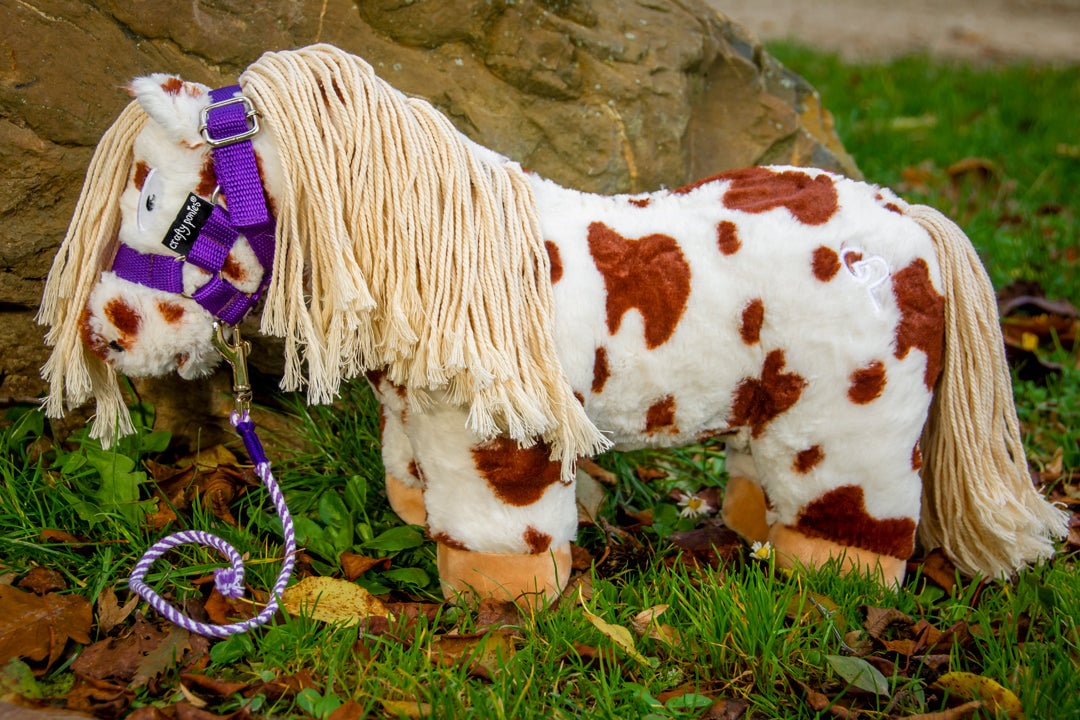 paars1 Crafty ponies halster paars