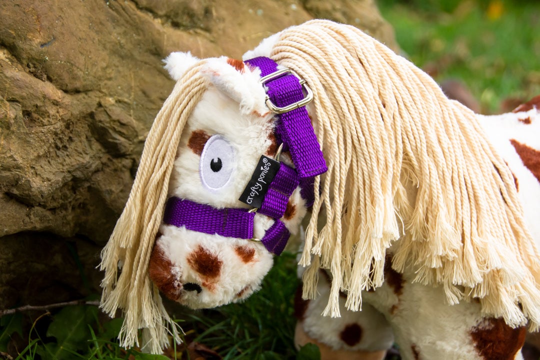 paars5 Crafty ponies halster paars