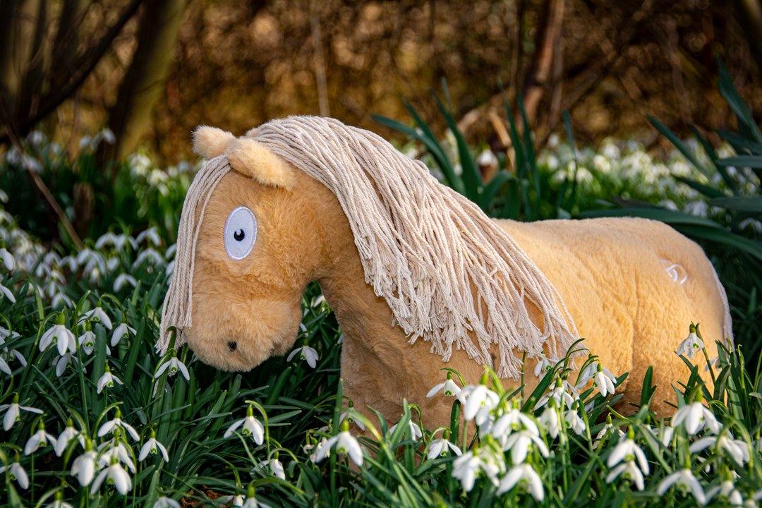 palomino-1_5661c58c-ff35-4808-8c13-e326e813daf6 Crafty Pony palomino paardenknuffel