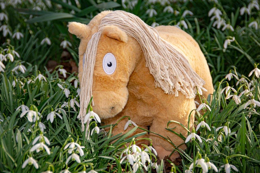 palomino-3 Crafty Pony palomino paardenknuffel