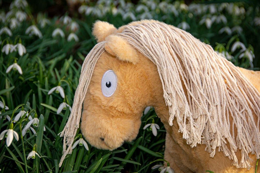 palomino-4_4e386b1d-0e46-4a37-8369-1f50cfc27d70 Crafty Pony palomino paardenknuffel paardenhoofd