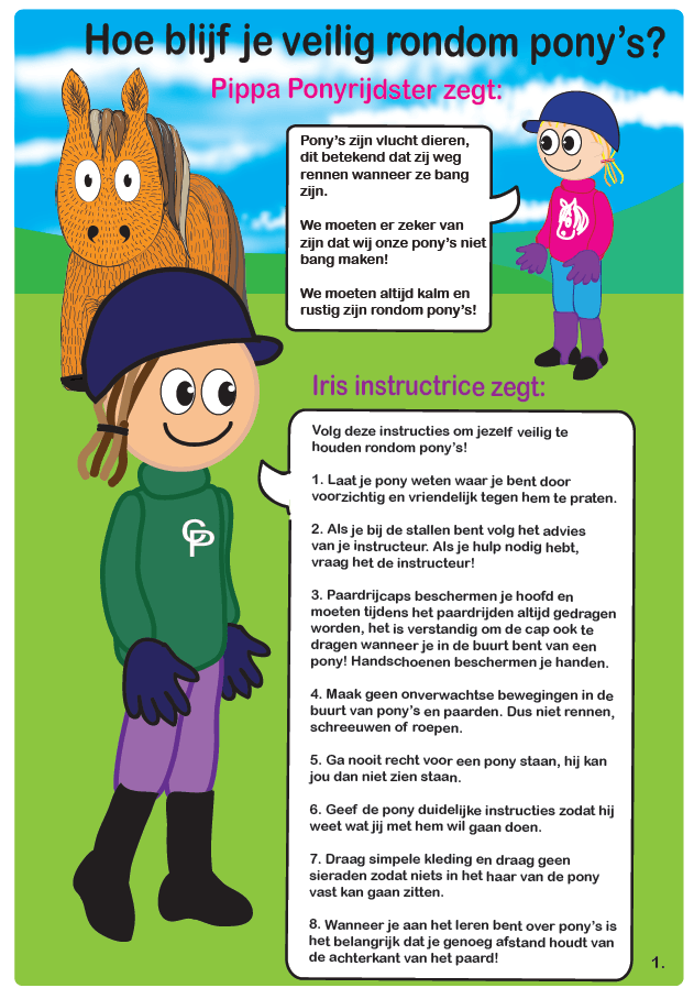 pb3_1fba6363-01c2-4827-974e-96b8f66e1762 Crafty Ponies instructieboek inhoud