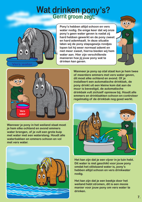 pony10 Crafty Ponies instructieboek inhoud