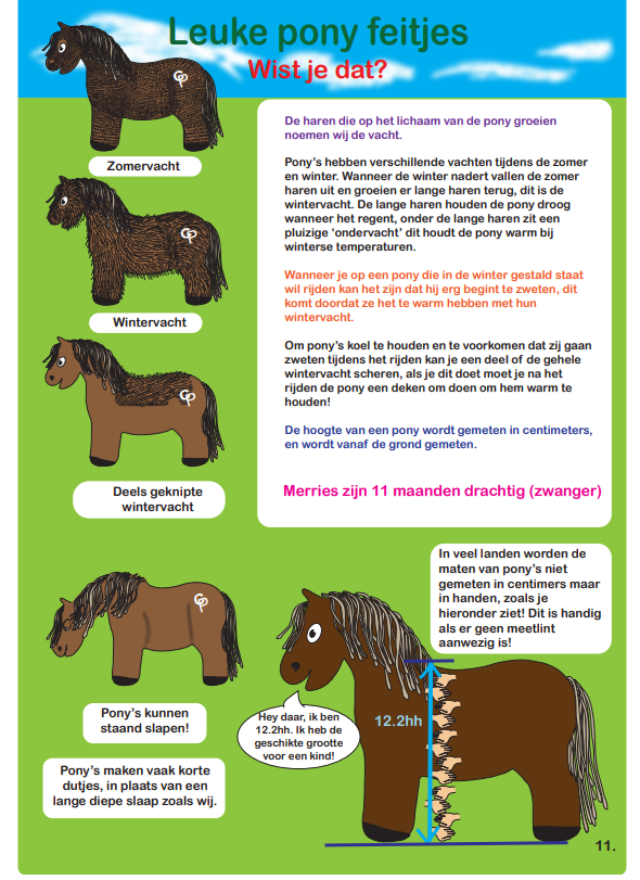 pony14_5da06c0a-cd91-456d-98a3-1281f13ab0c5 Crafty Ponies instructieboek inhoud
