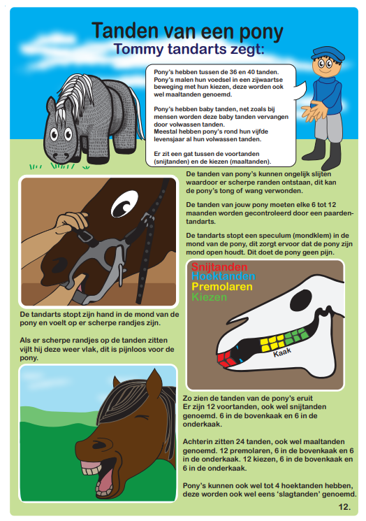 pony15_d2031482-323d-4073-bec2-cc3a622d4667 Crafty Ponies instructieboek inhoud