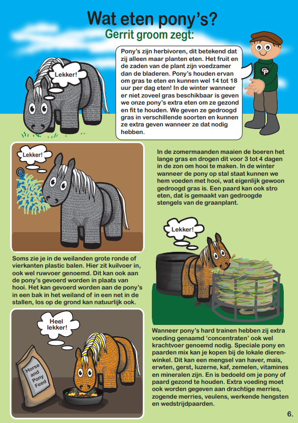 pony9 Crafty Ponies instructieboek inhoud