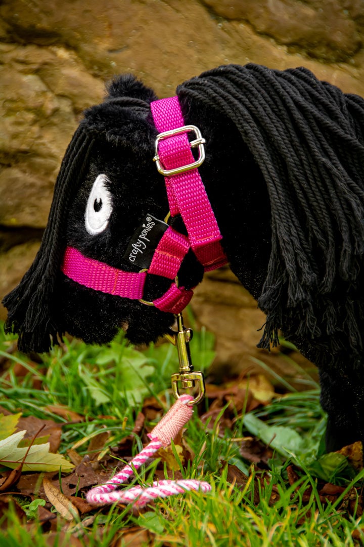 roze-2_8b3ba856-8bfd-4db6-9995-df8d8eb9b28e Crafty ponies halster Roze