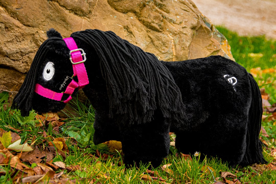 roze-5 Crafty ponies halster Roze