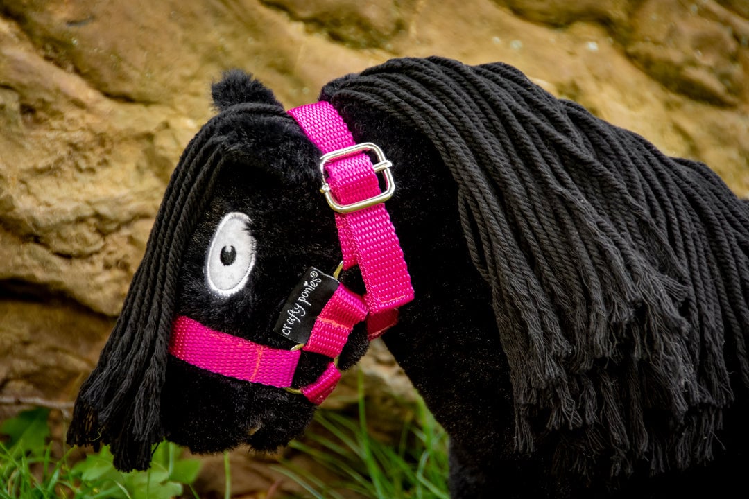 roze-6 Crafty ponies halster Roze