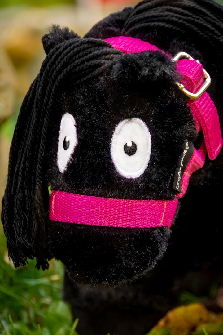 roze-8 Crafty ponies halster Roze