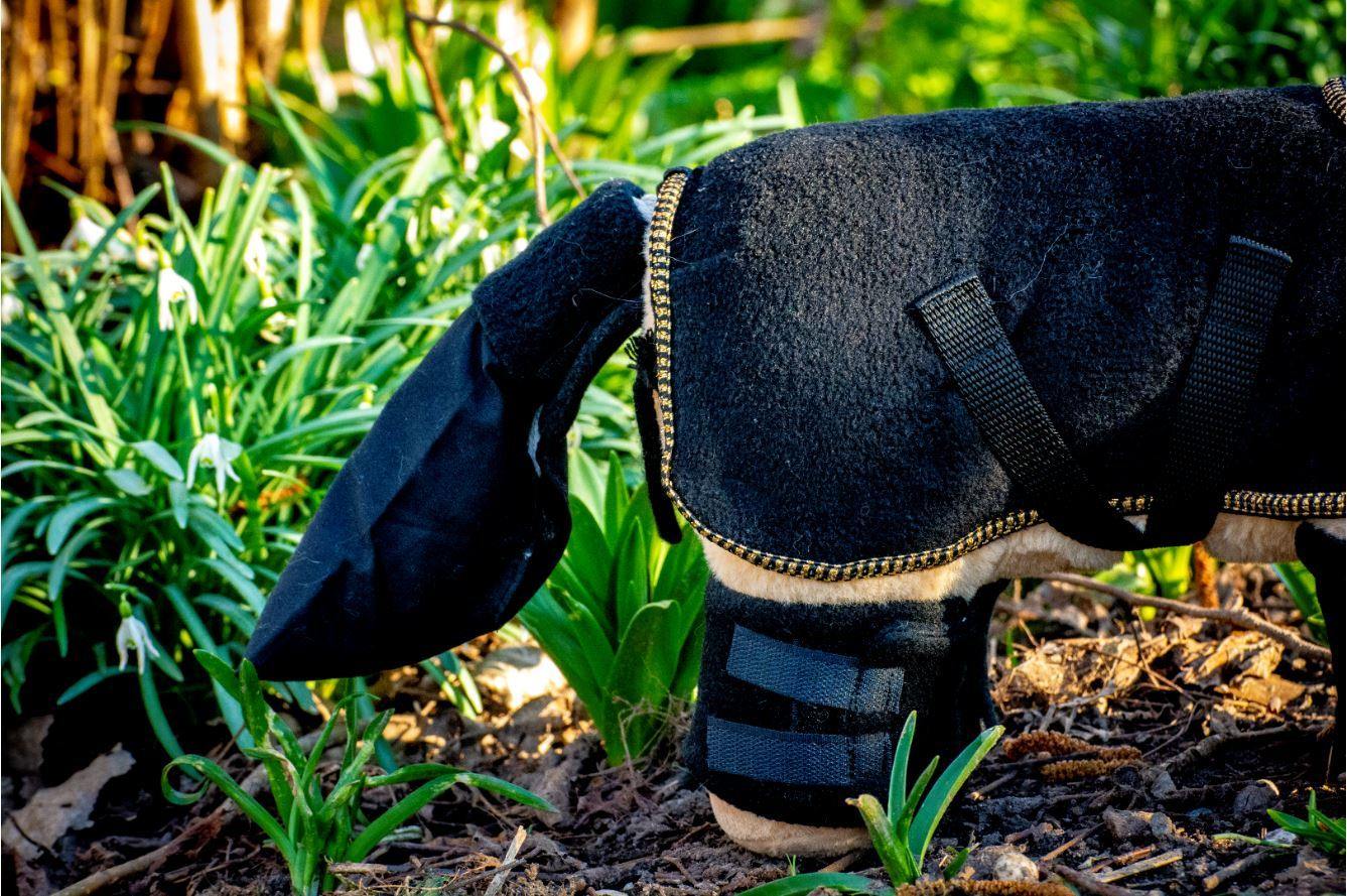 showdekensetklein2 Crafty Ponies Showdeken Set staartzak