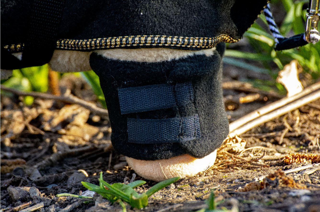 showdekensetklein4 Crafty Ponies Showdeken Set bandage