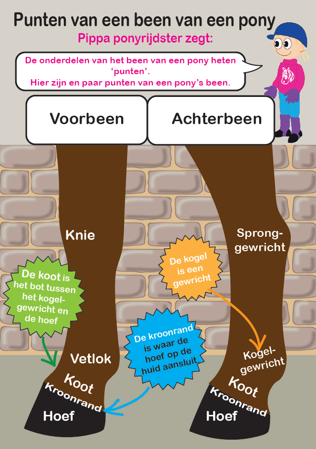 sk2 Crafty Ponies sokken en kousen boekje inhoud