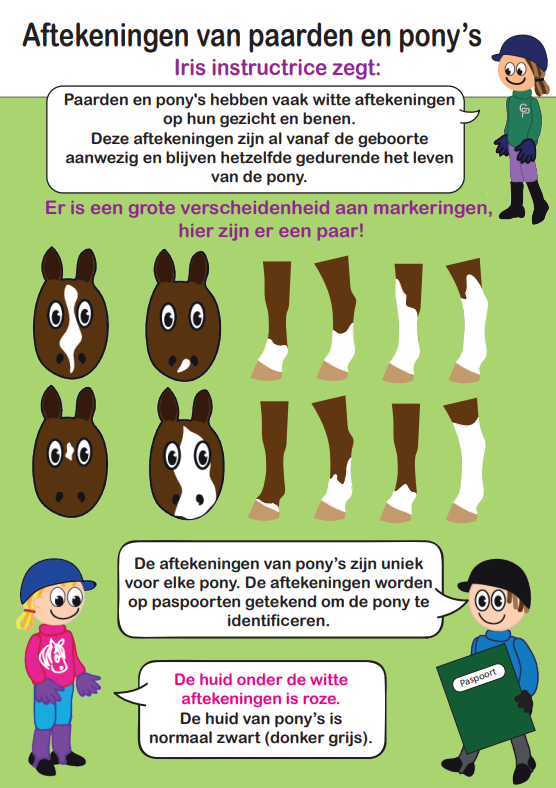 sokkenveren2_bc23765e-1cc0-4a49-aed3-1dbcaaf176a8 Crafty Ponies sokken en kousen boekje inhoud