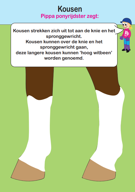 sokkenveren6 Crafty Ponies sokken en kousen boekje inhoud