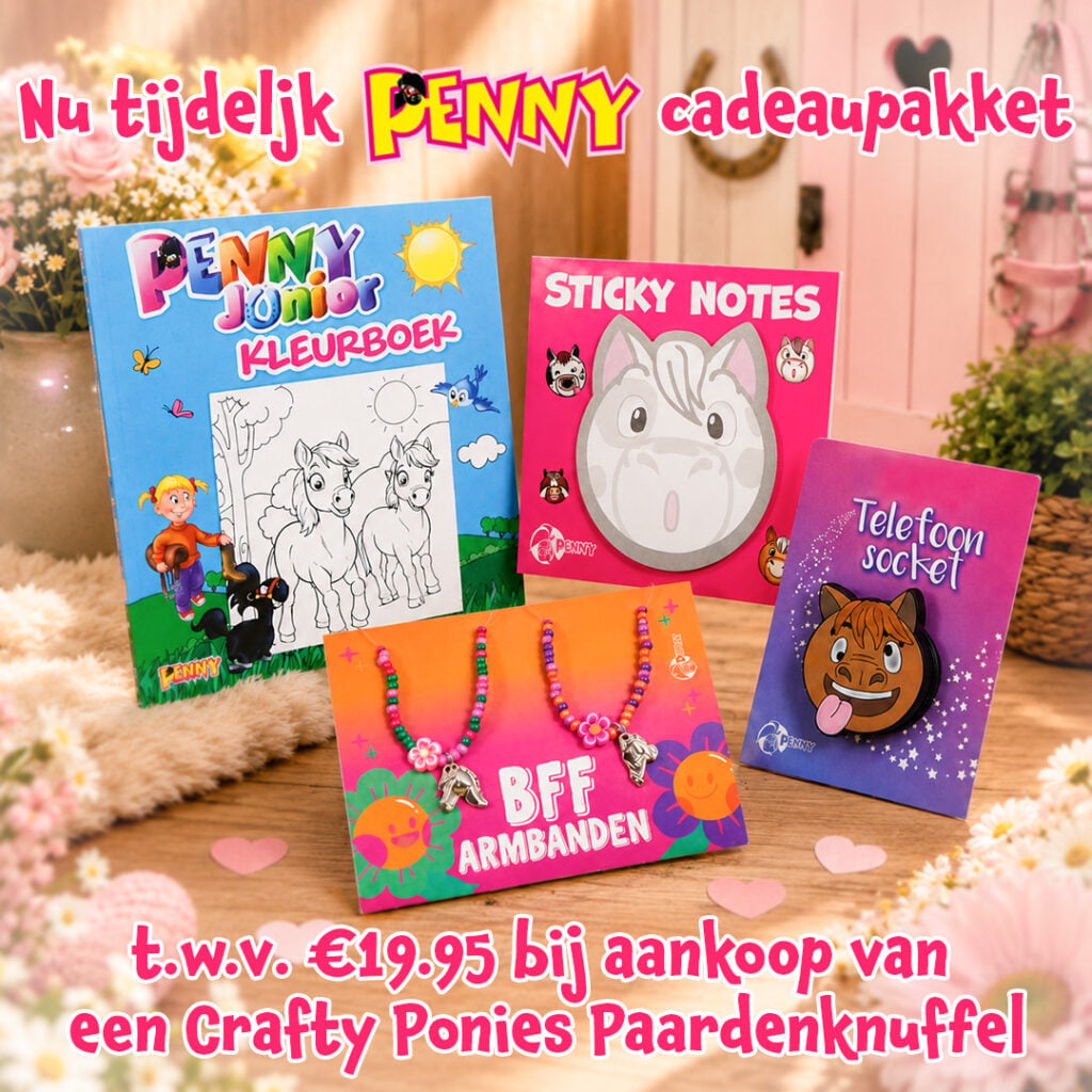 Actiepakket voor paardenliefhebbers met Penny kleurboek, notitieblaadjes, BFF-armbanden en telefoonsocket.