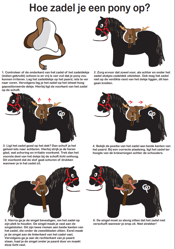 zadel2_2d5ca86b-3f33-48ee-a876-7971ccabf91b Crafty Ponies zadel boekje inhoud