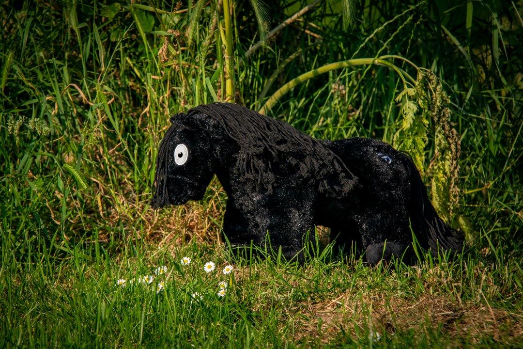 zwartje4_f7e2640a-23f7-4e3a-93cf-d67746b33444 Crafty Pony paarden knuffel zwart met zwarte manen (48 cm) met instructie boekje