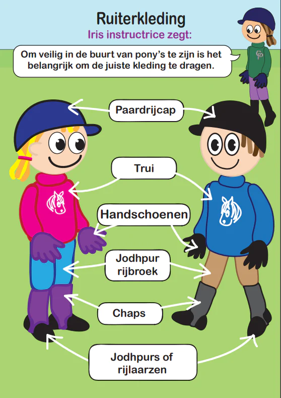ruiter2_3517e594-e8ec-4b74-92cb-5f6ab4328977_1080x.png