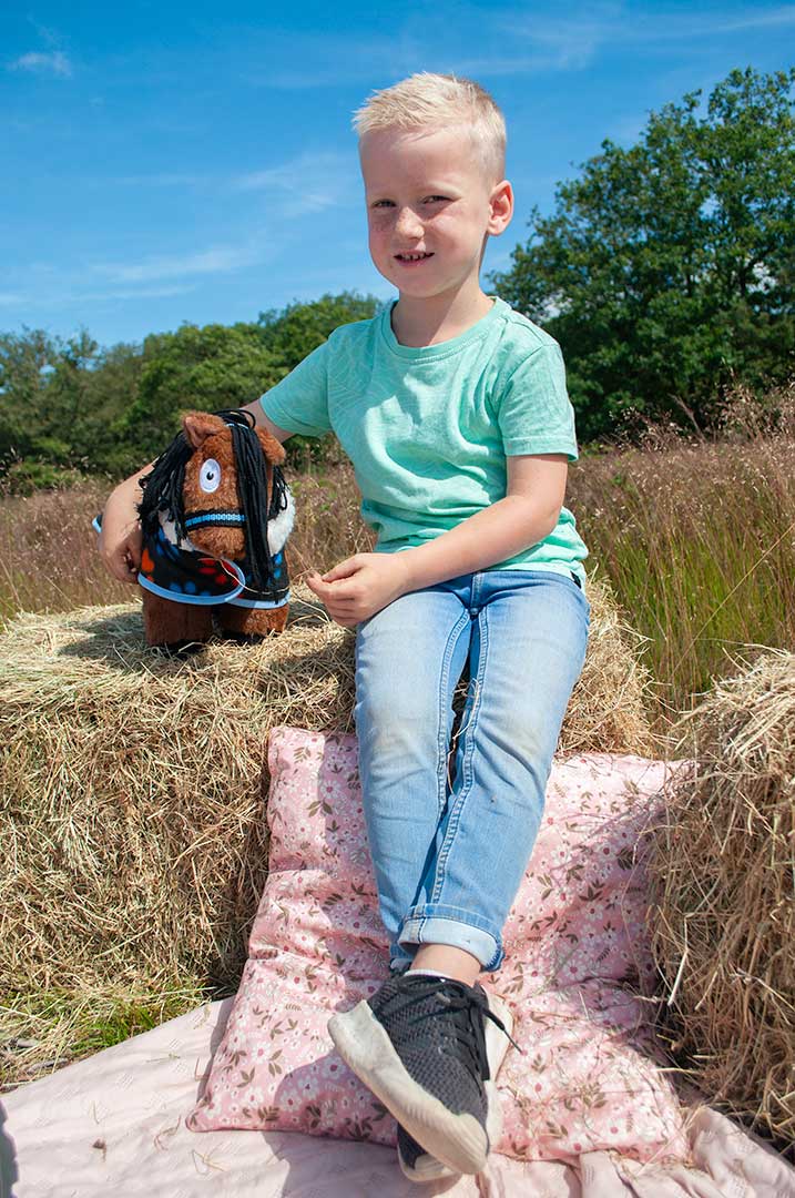 Crafty Pony paarden knuffel bruin met zwarte manen Crafty Pony paarden knuffel bruin met zwarte manen (48 cm) met instructie boekje. Met Crafty Ponies speelt en leert je kind tegelijk! Het is de leukste en liefste grote paardenknuffel!