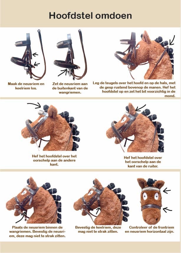 Crafty Ponies Hobby Horse Paspoort Crafty Ponies Hobby Horse Paspoort